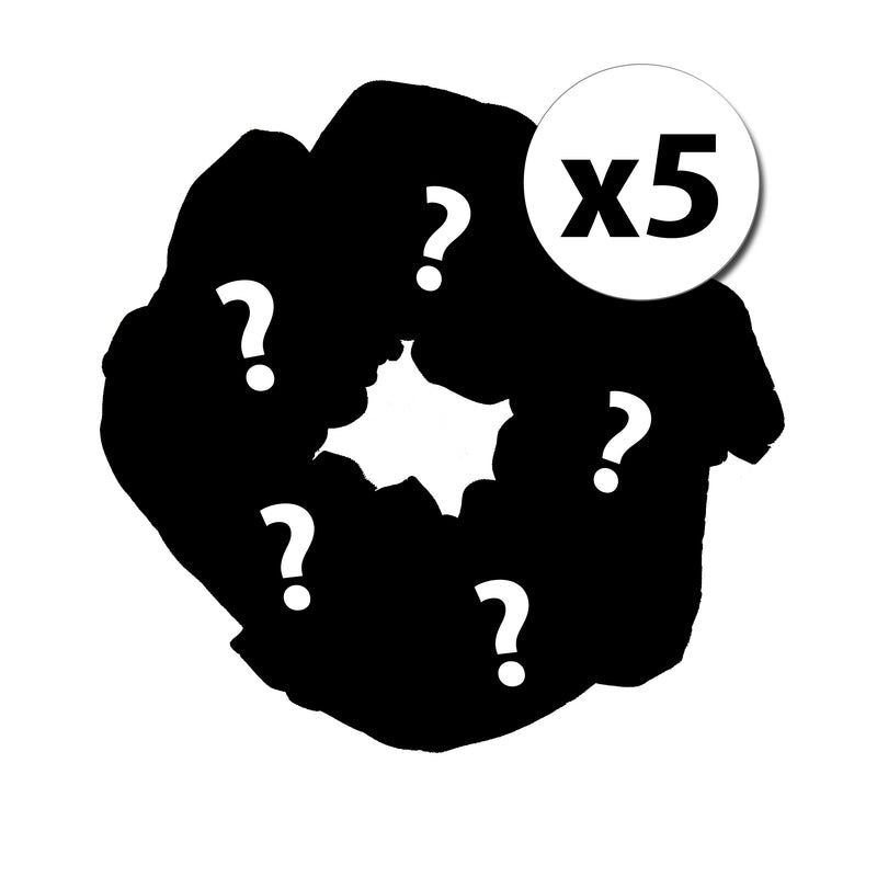 Mystery Scrunchies x5